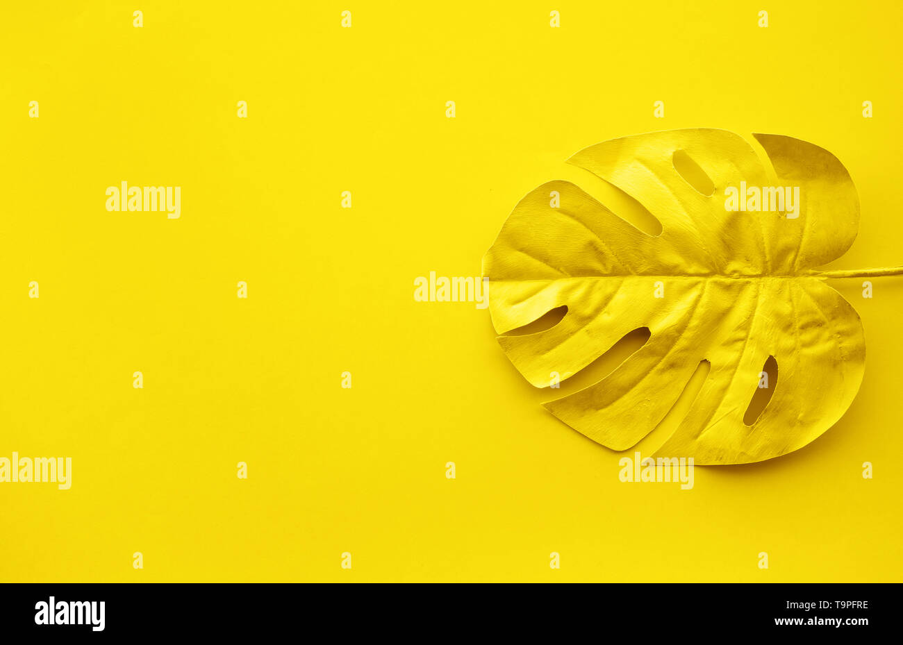 Gold Farbe der tropische Blätter, Laub pflanze Raum Hintergrund. Abstrakte leaf Dekoration Design. Exotische Natur, das für die Vorlage Stockfoto