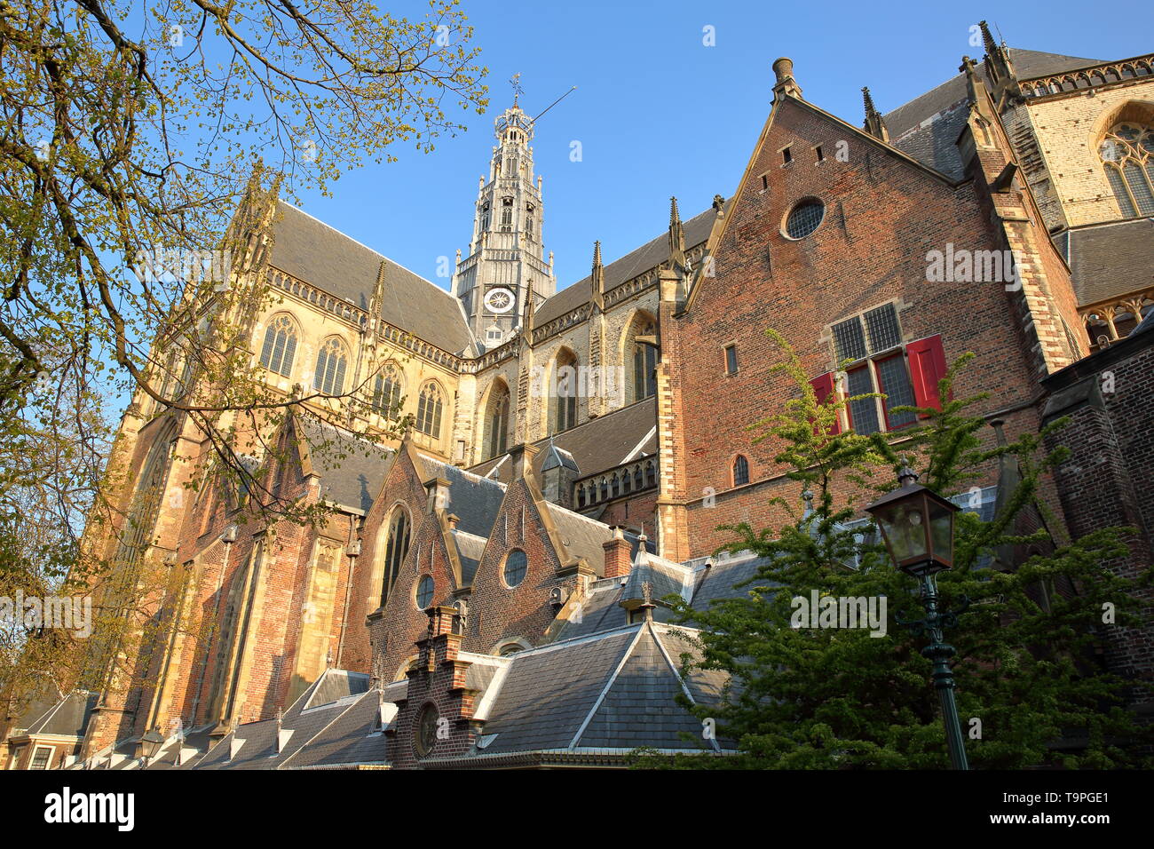 Die reich verzierten und farbenprächtigen Architektur von St. Bavokerk Kirche (mit Schnitzereien) in Haarlem, Niederlande Stockfoto