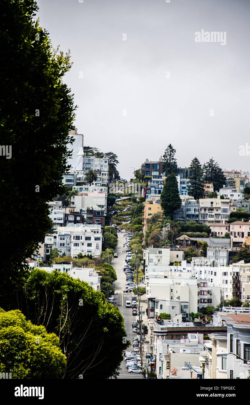 Ansicht an der Lombard Street in San Francisco Stockfoto