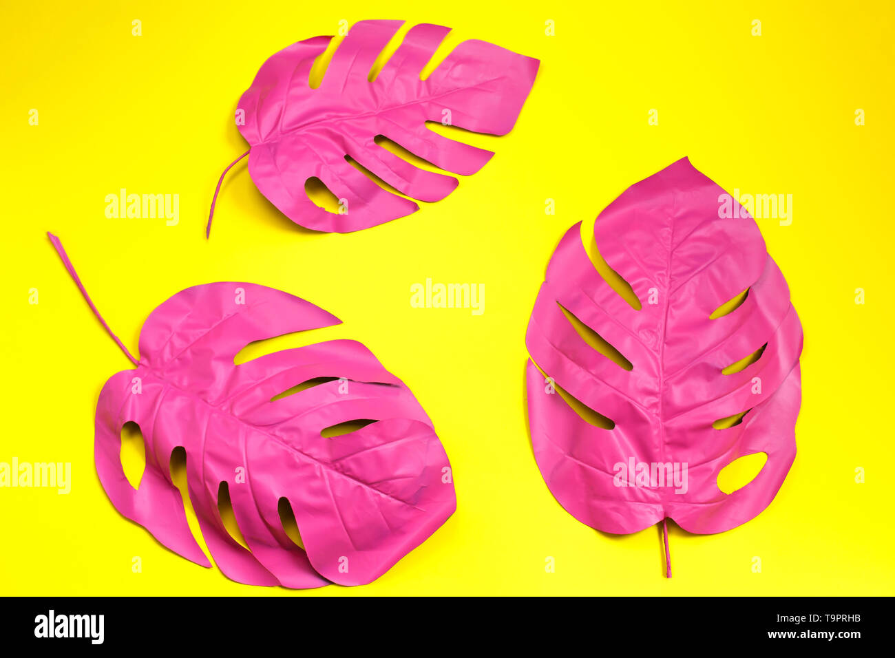 Drei Gemalt Der Von Tropischen Palmen Blatt Von Monstera Auf Gelben Hintergrund Fashion Pink Konzept Minimalismus Sommer Konzept Konzeptkunst Flach Ansicht Von Oben Stockfotografie Alamy