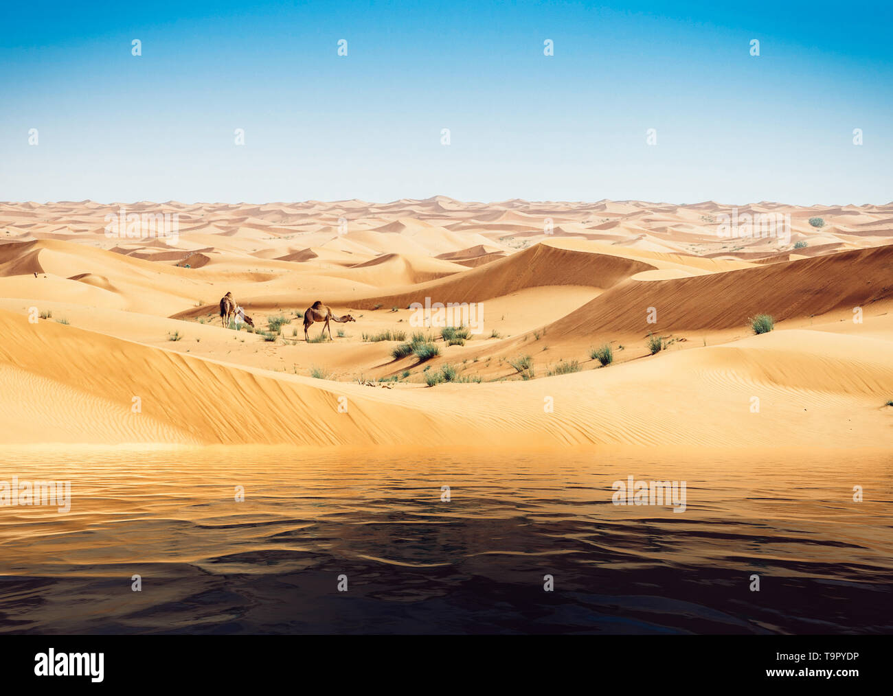 Mirage des Wassers in der Arabischen Wüste. Hintergrund Bild digitale Verbesserung. Kamele im Hintergrund Stockfoto