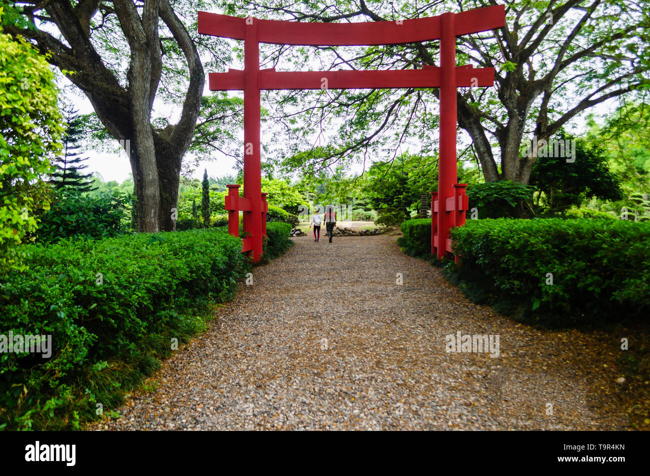 Schöne Torii-tor im Japanischen Garten Contracting mit dem Grün der Natur und ein Pfad führt zu Es Stockfoto