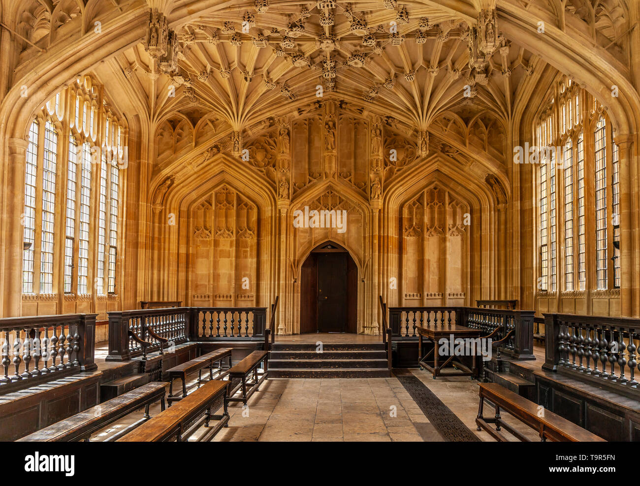 Universität Oxford Bodleian Library der Divinity School. Stockfoto