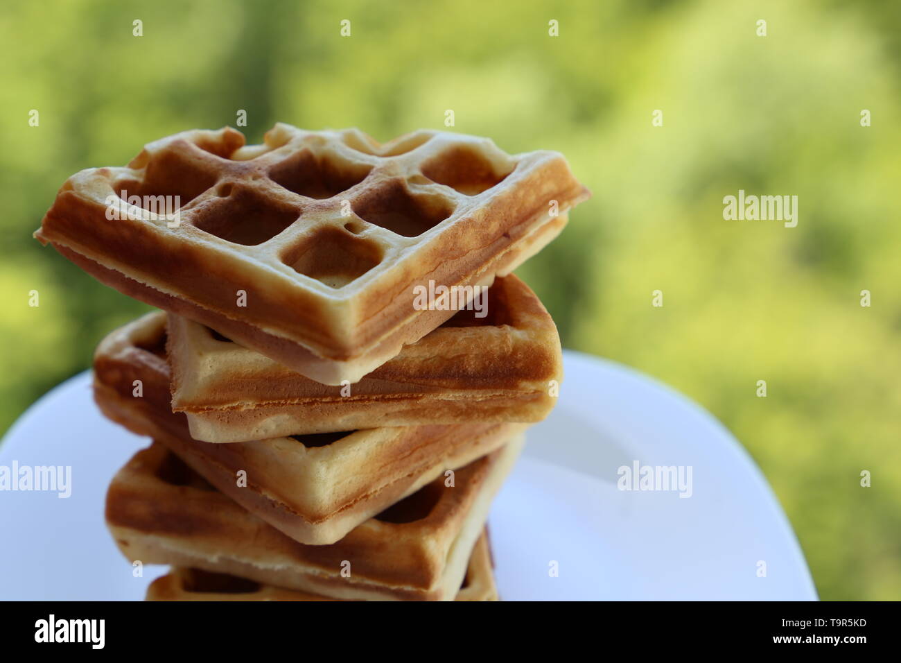 Belgische Waffeln in einer weißen Platte auf grüne Natur Hintergrund. Gesundes Frühstück, Stapel von frisch zubereiteten Waffeln Stockfoto
