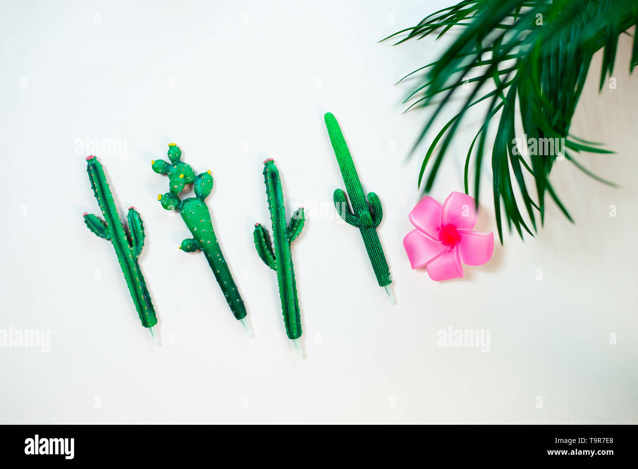 Grüne Blätter der Palme auf rosa Hintergrund Stockfoto