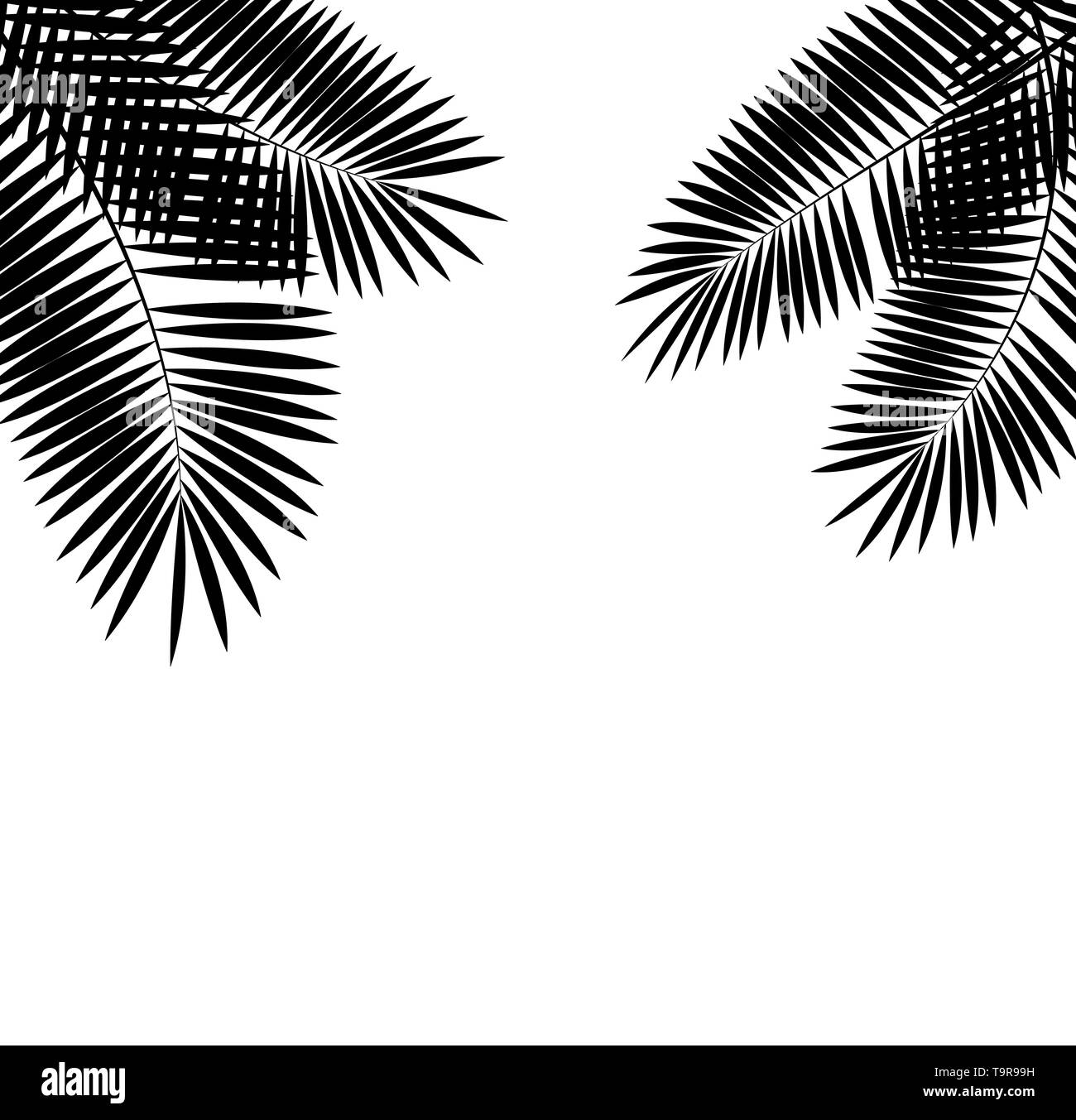 Palm Leaf Vector Hintergrund Illustration Stock Vektor