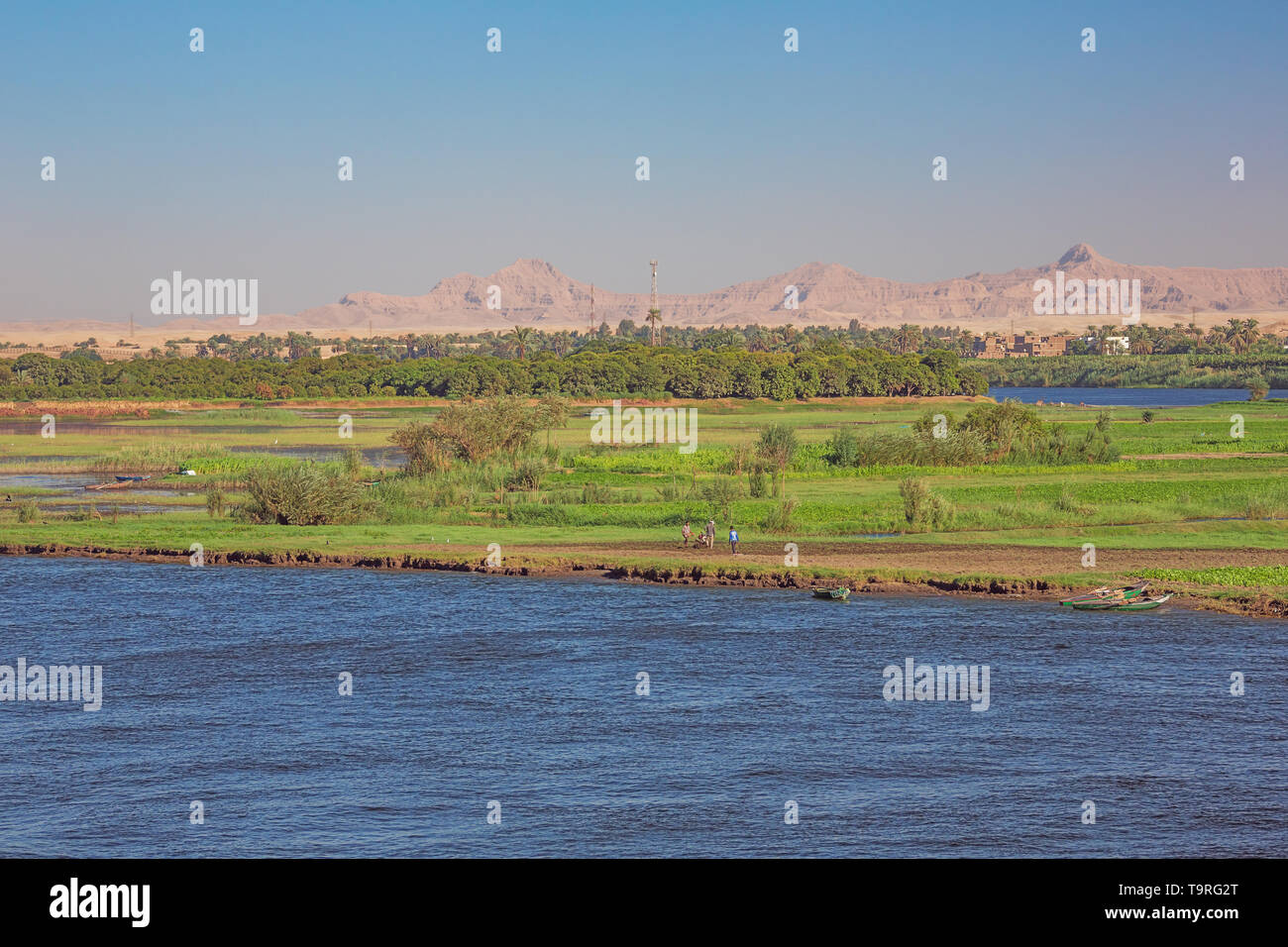 Landwirte auf Armant Insel, südlich von Luxor, mit der Wüste im Hintergrund Stockfoto