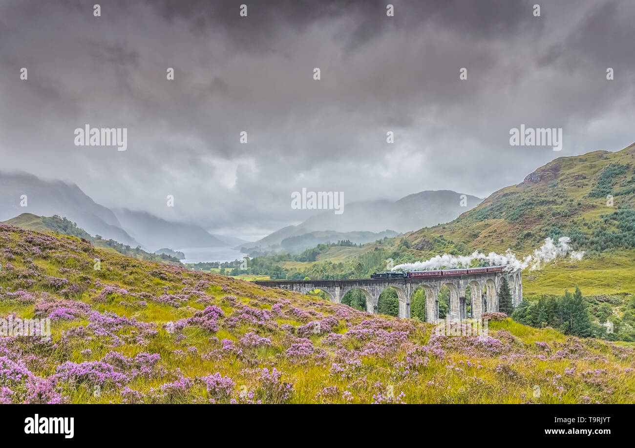 Glenfinnan Viadukt mit Steam Train Stockfoto