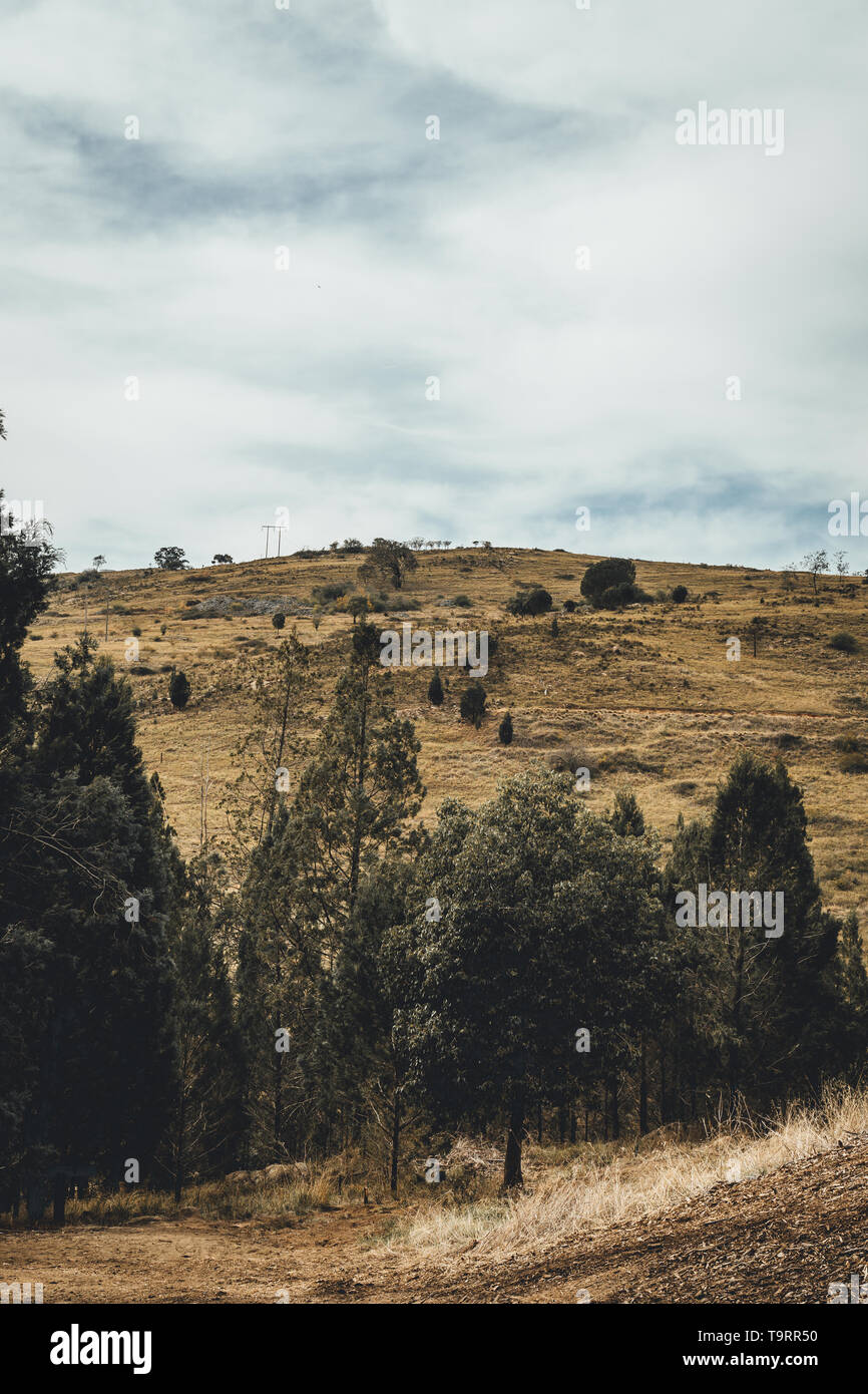 Malerische Landschaft am Adelong fällt Gold Mill Ruinen, in der Nähe von tumut New South Wales Stockfoto