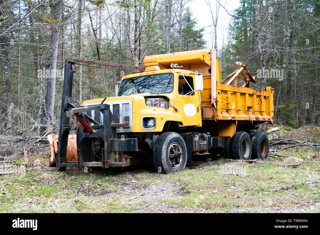 Eine alte Rost gelb Dump Truck mit Pflug Frame in den Adirondack Mountains aufgegeben, NY, USA Stockfoto