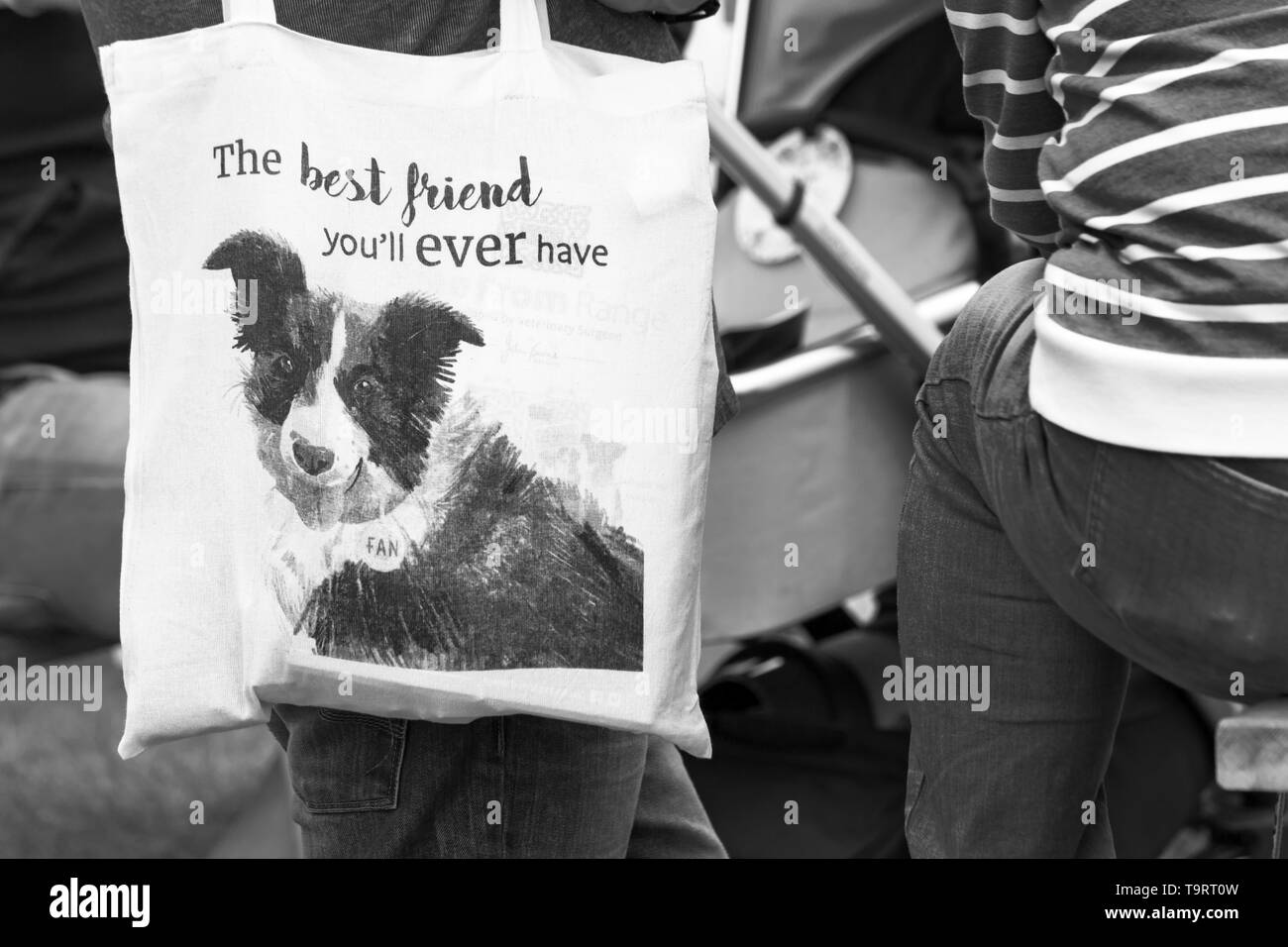 Der beste Freund, den du jemals haben wirst - Hund auf Tasche an Dogstival, Pylewell Park Estate Lymington, New Forest, Großbritannien im Mai Stockfoto