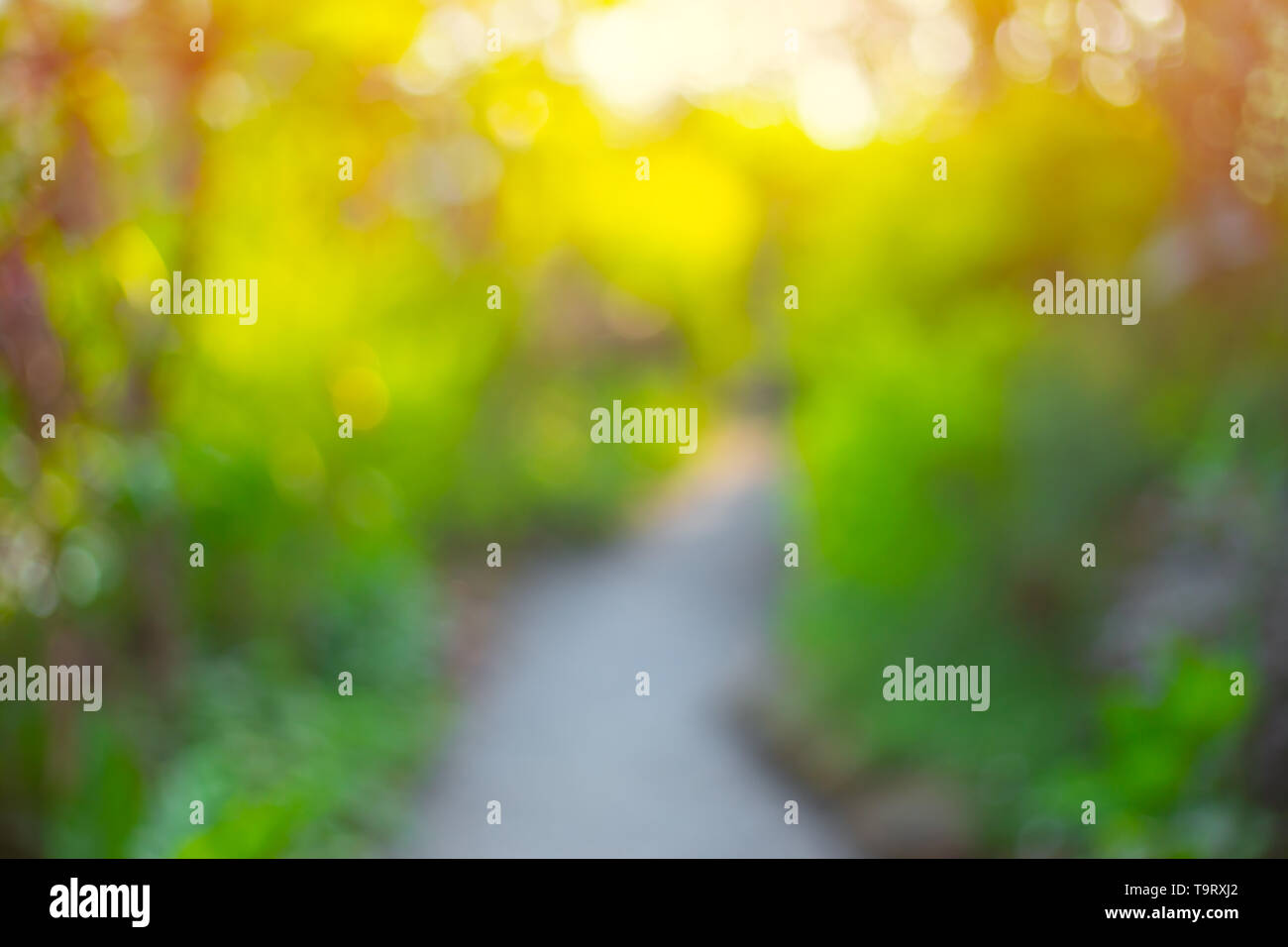 Blur grüne Natur abstrakt, Hintergrund Stockfoto