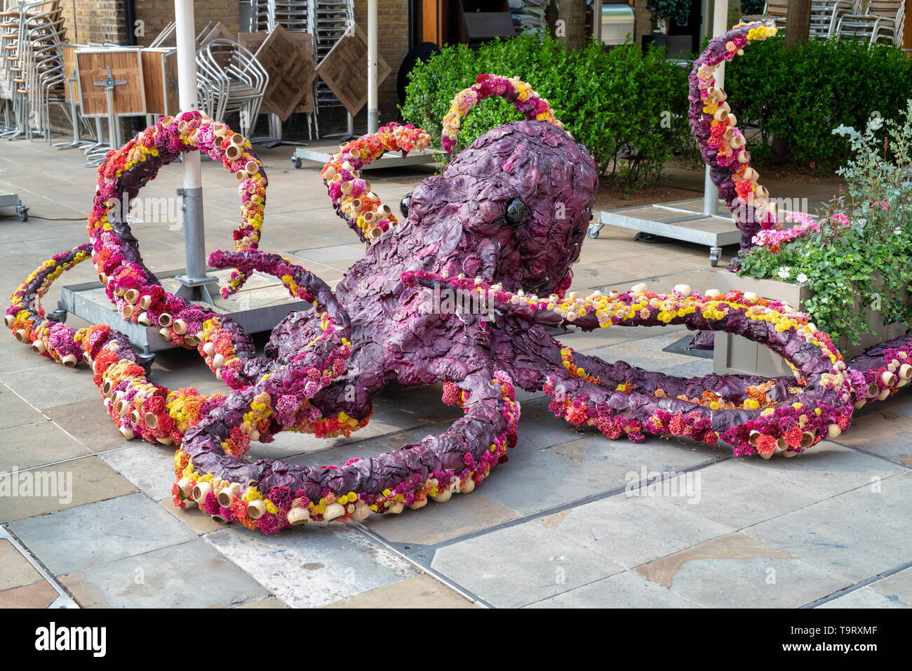 Octopus Blumenarrangement im Herzog von York Square für Chelsea in der Blüte 2019. Chelsea, London, England Stockfoto