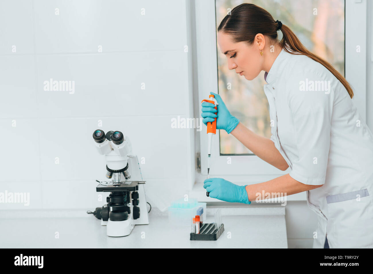 Wissenschaftler arbeiten mit Blut im Labor. Blut Forschung Stockfoto