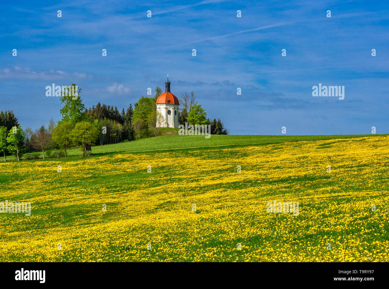 Buschelkapelle schließen Ottobeuren, Unterallgäu, Schwaben, Bayern, Deutschland, Europa, Buschelkapelle nahe Ottobeuren, Schwaben, Bayern, Deutschland, Europa Stockfoto