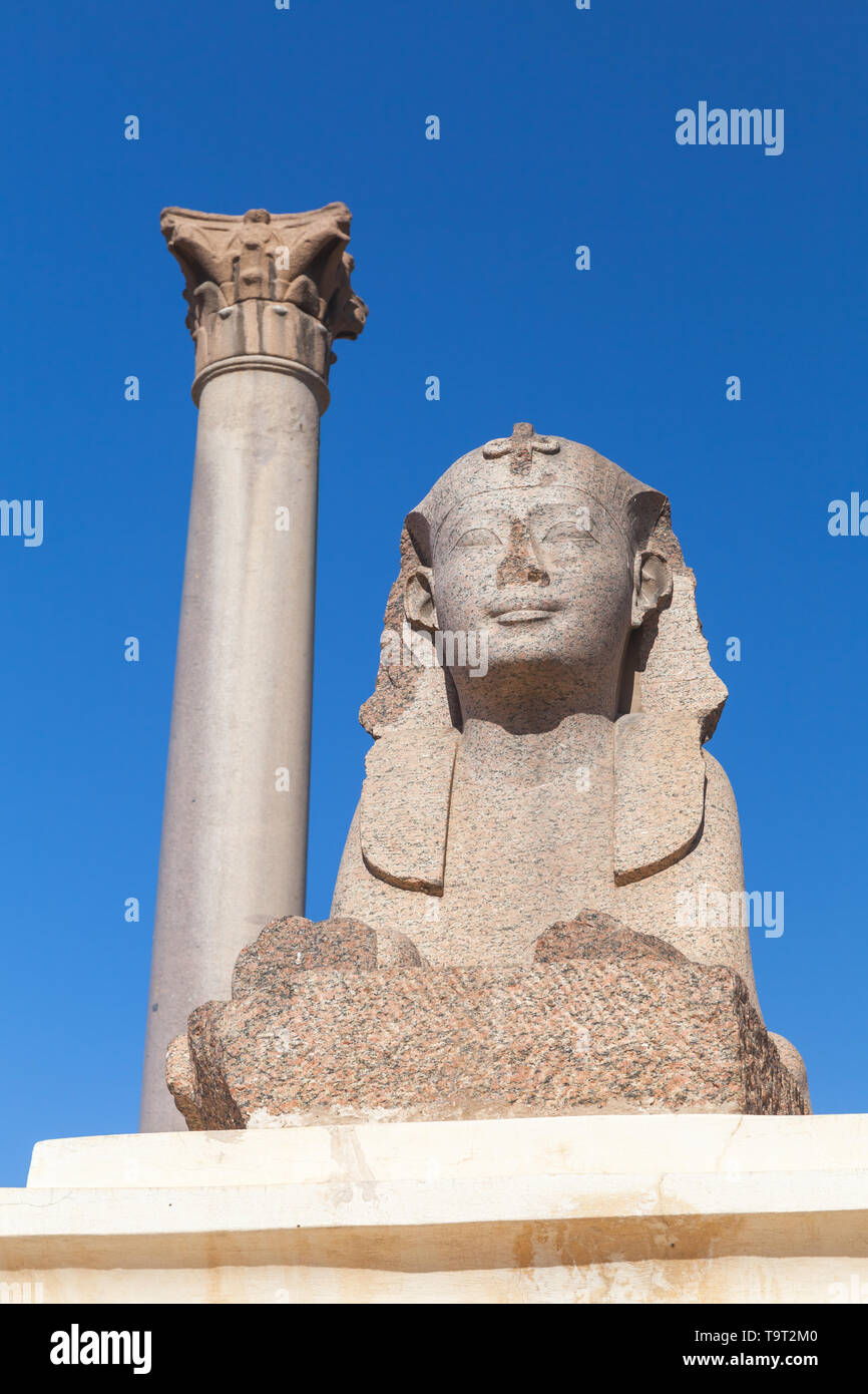 Antike Sphinx und Pompeys Säule, Alexandria, Ägypten. Dieses römischen Siegessäule wurde in 297 AD gebaut Stockfoto