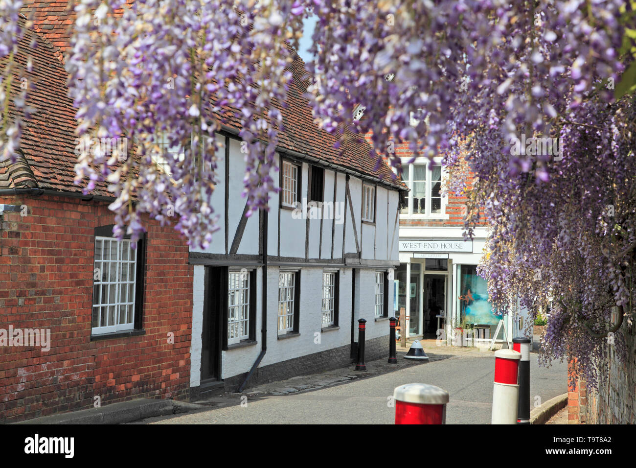 Wisteria framing Tudor Cottages in der malerischen Kentish Dorf Smarden, Kent, Großbritannien Stockfoto