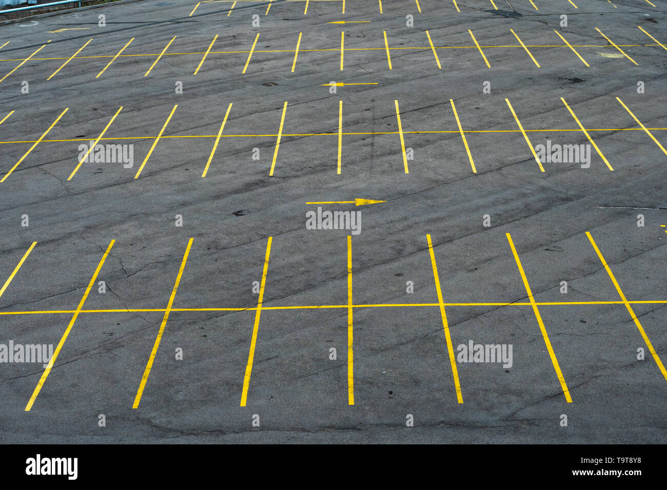 Die Markierungslinien auf dem Parkplatz mit gelber Farbe auf Asphalt.  Großer Parkplatz, leer Stockfotografie - Alamy