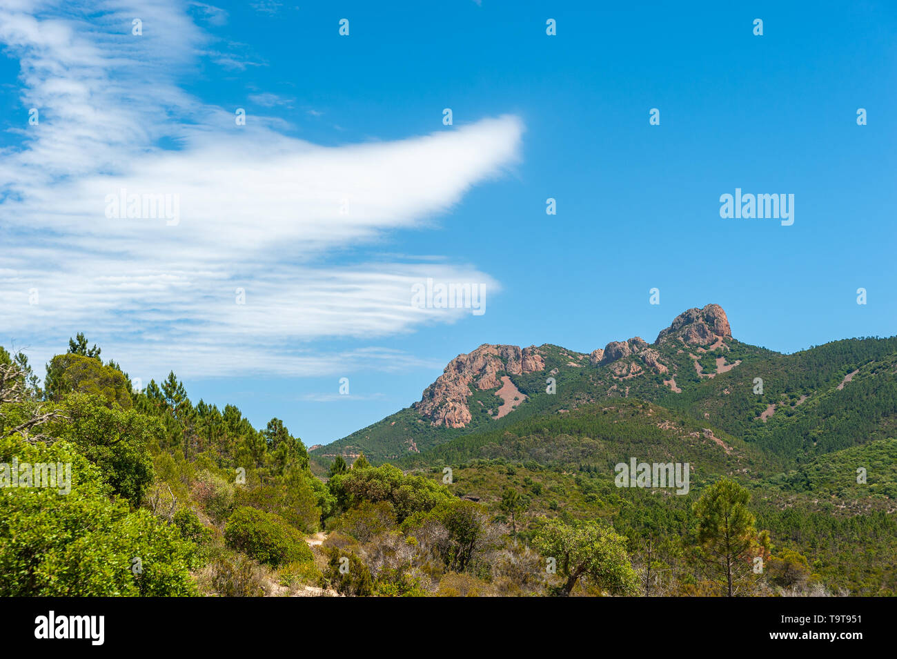 Esterel Massif, Landschaft in der Schlucht Grenouillet, Saint-Raphael, Var, Provence-Alpes-Cote d'Azur, Frankreich, Europa Stockfoto