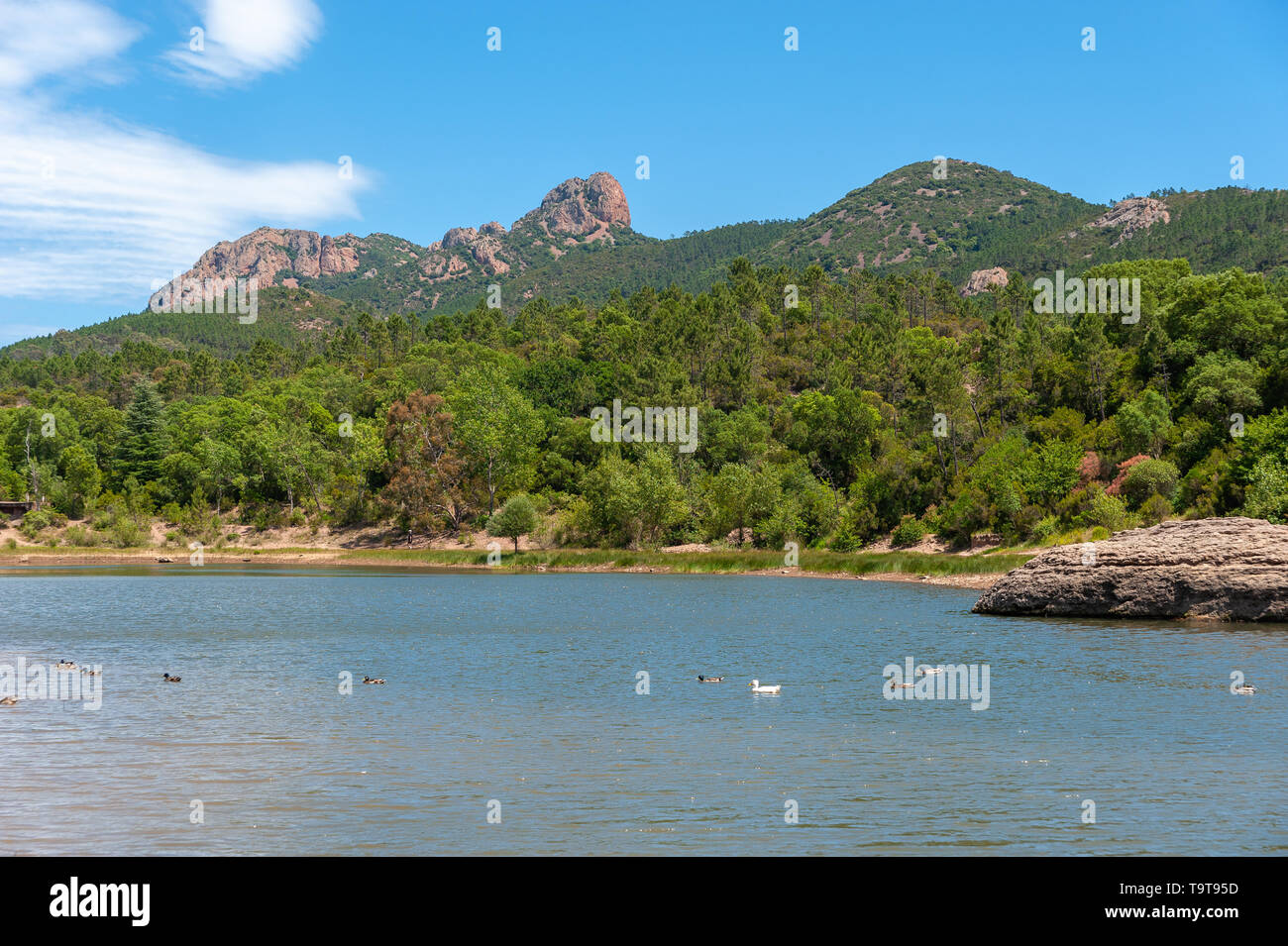 Esterel Massif, der See in der Schlucht Grenouillet Grenouillet, Saint-Raphael, Var, Provence-Alpes-Cote d'Azur, Frankreich, Europa Stockfoto