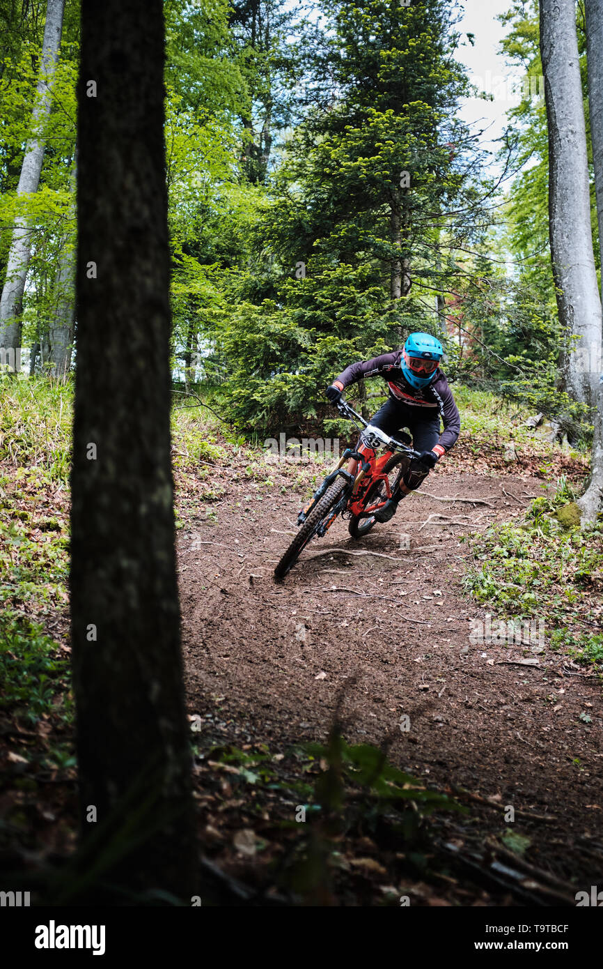 Mountain Bike Racing in grünen Wald Stockfoto