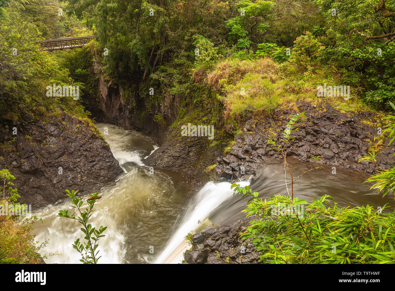 Palikea Stream und Wasserfälle, Haleakala National Park, Maui, Hawaii, USA Stockfoto