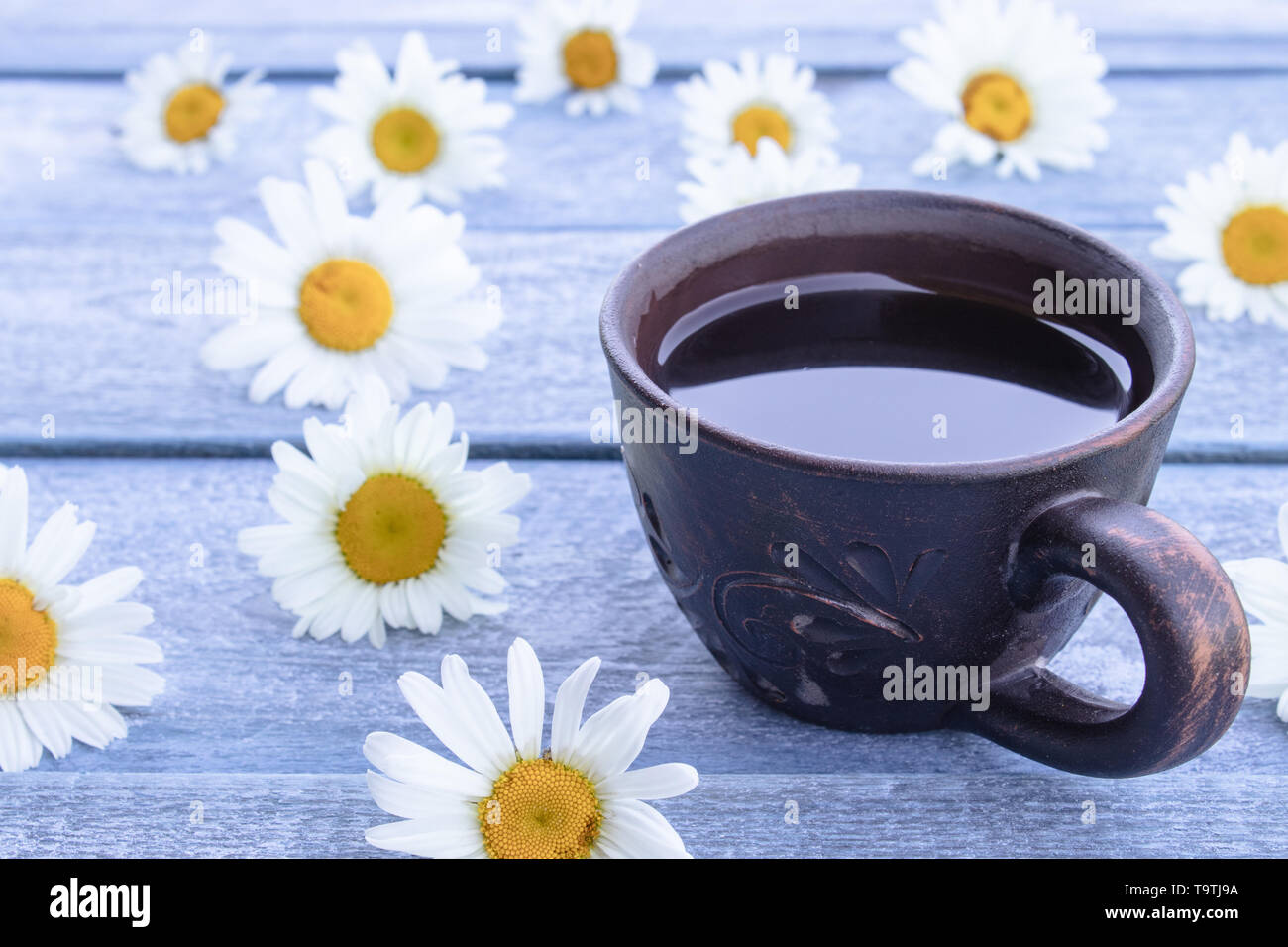 Eine Tasse Kamillentee und Kamillenblüten auf einem blauen Hintergrund. Close-up. Stockfoto