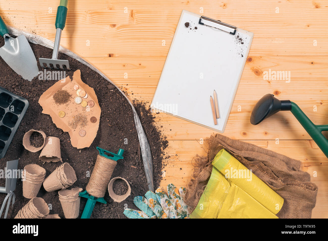 Preiswerte organische Nahrungsmittelproduktion und Gartengeräte, Ansicht von oben von Werkzeugen und Saatgut auf hölzernen Tisch im Garten mit einigen Euro-münzen als Konzept der l Stockfoto