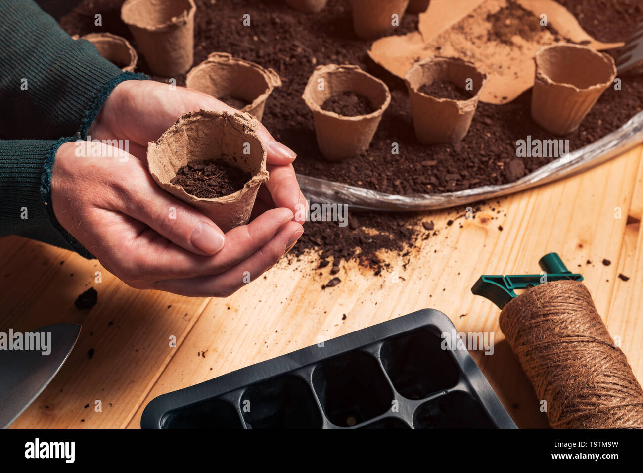 Gärtner mit biologisch abbaubaren Boden pot Container in Händen direkt über der Tabelle, die mit dem ökologischen Landbau und Gartengeräte für homegrown Essen Produ Stockfoto