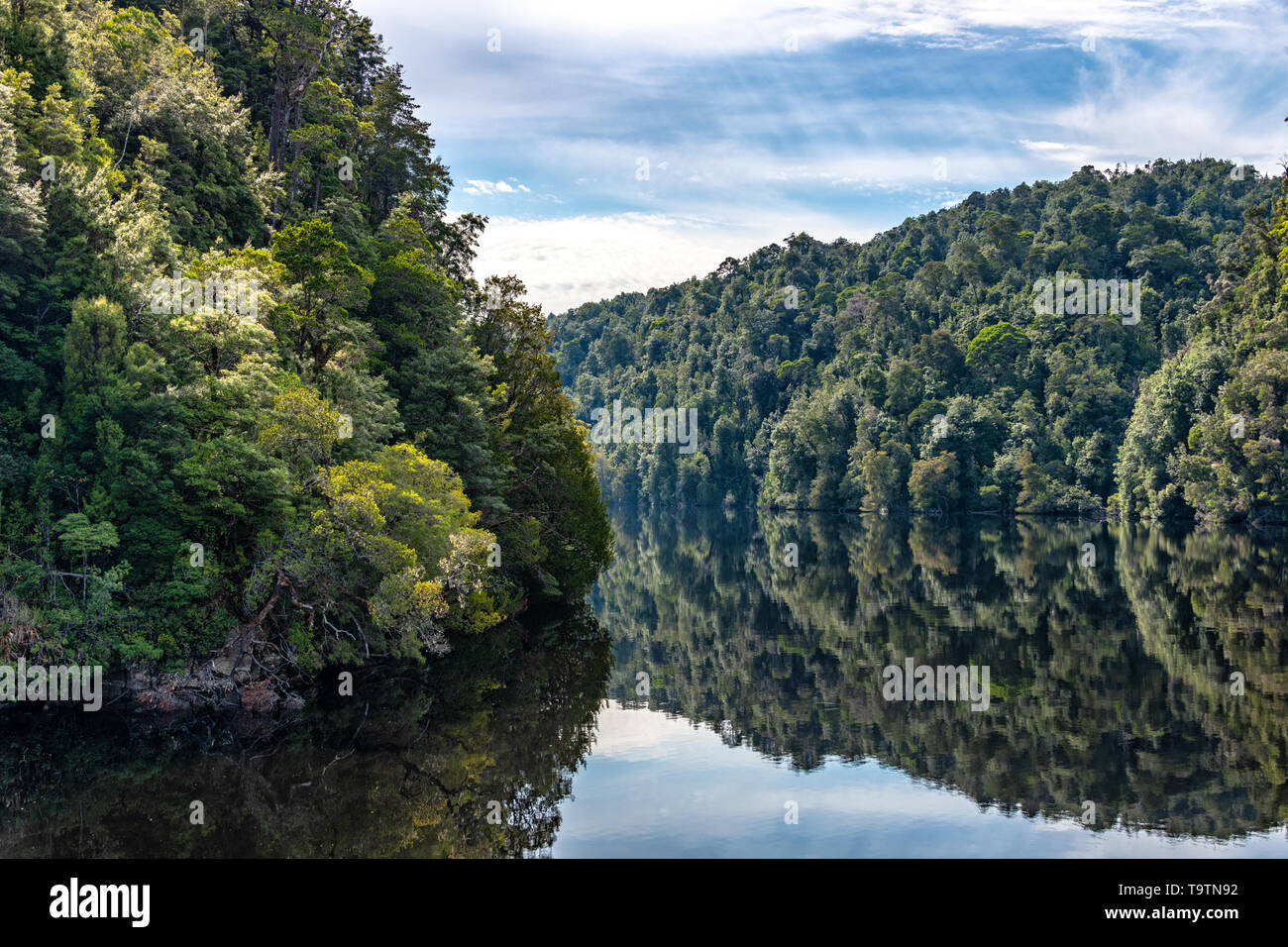 Reflexionen auf dem Gordon River, Tasmanien Stockfoto