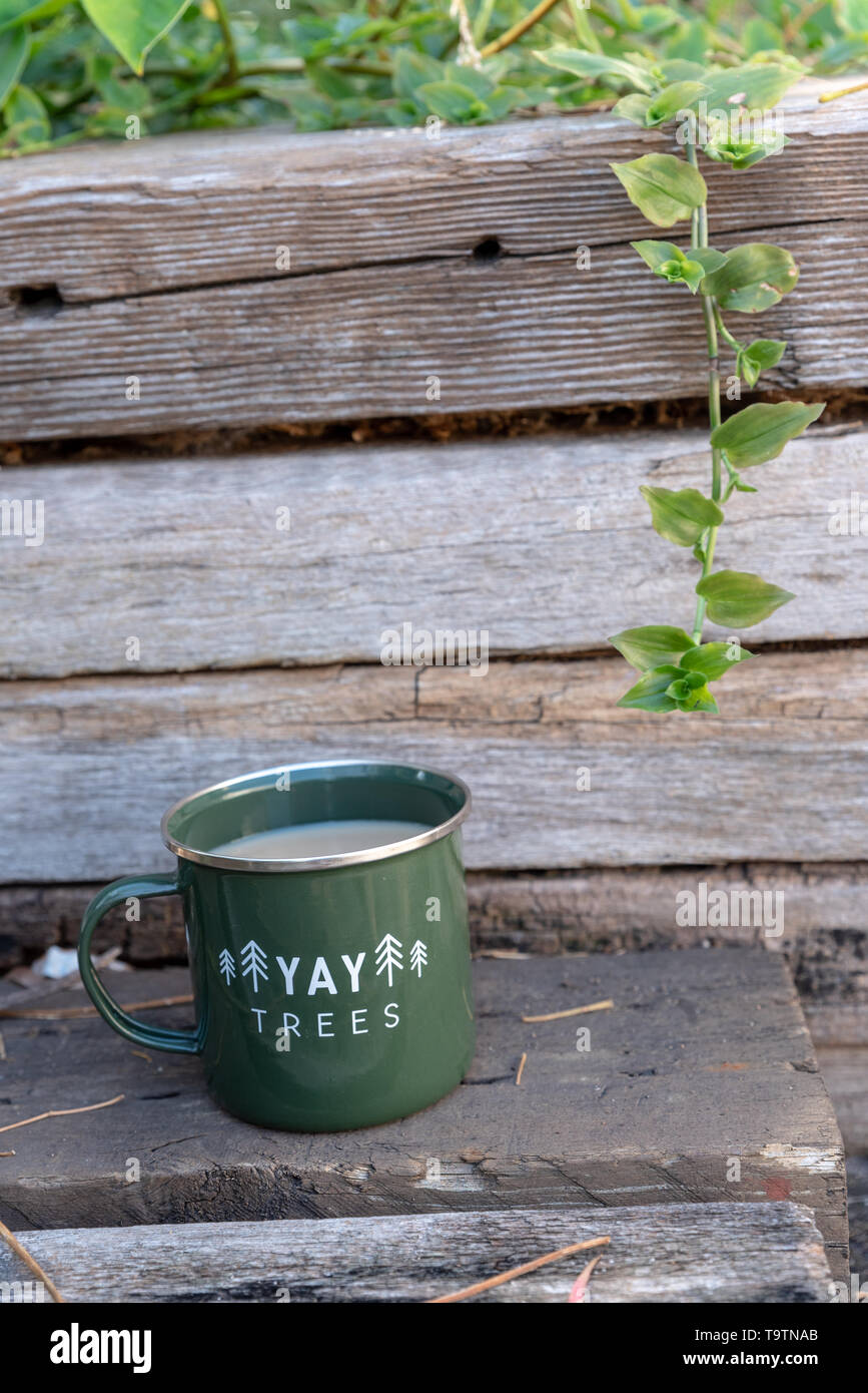 Emaille Tasse Grün auf Holz, mit grünen Weinstock auf der rechten Seite Stockfoto