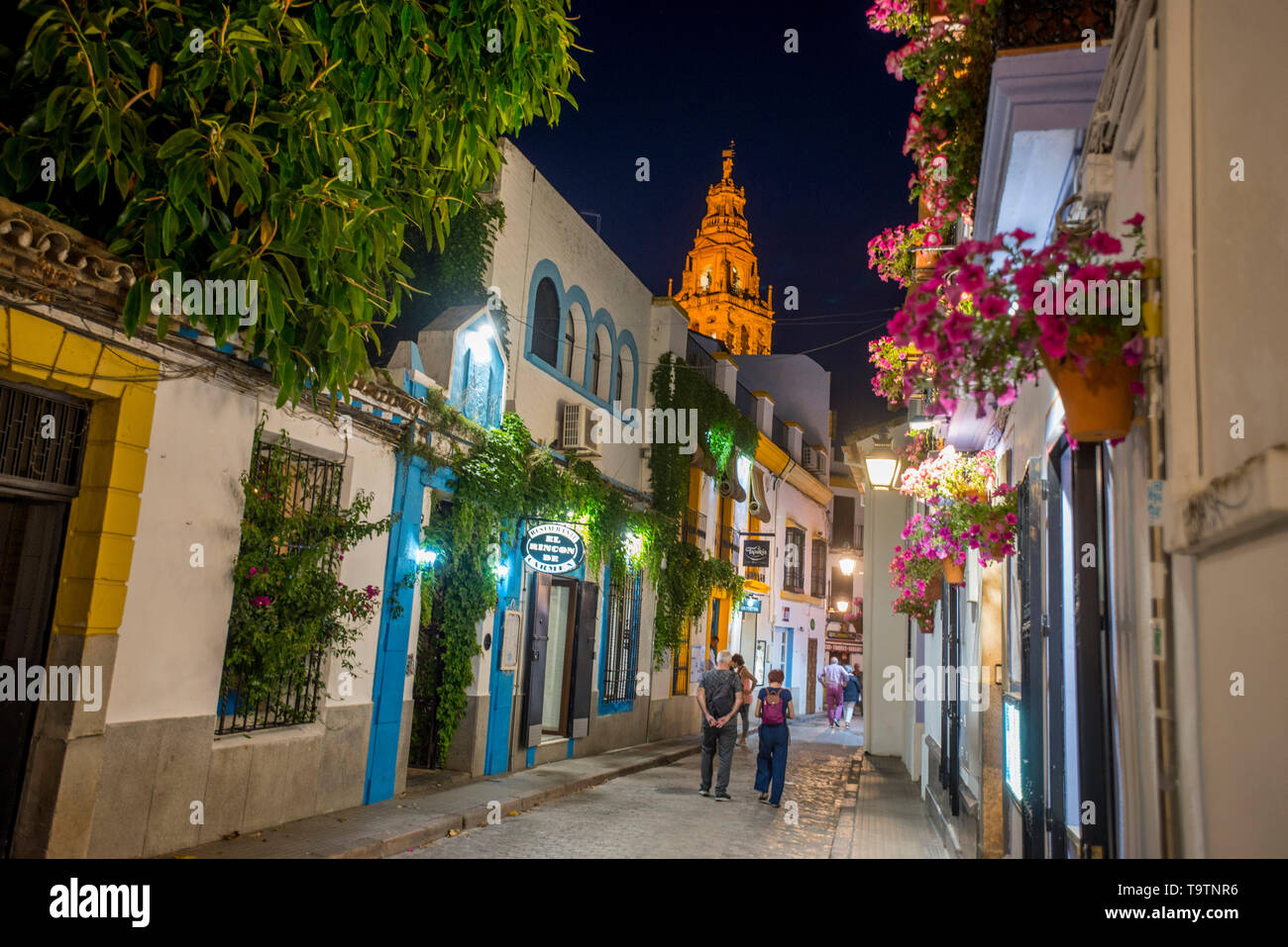 Cordoba, Spanien, durch die engen Gassen des Jüdischen Viertels in der Nacht. Stockfoto