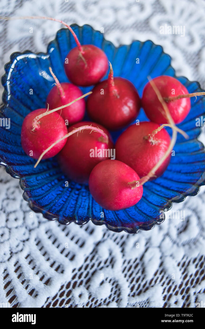Frische reife Radieschen in einem blauen Glas salat Schüssel auf eine schöne, weiße Tischdecke Stockfoto