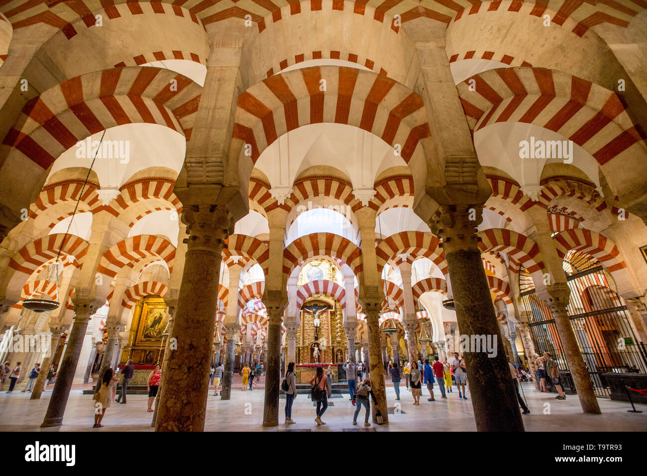 Cordoba Spanien das Innere der Großen Moschee der Mezquita. Stockfoto