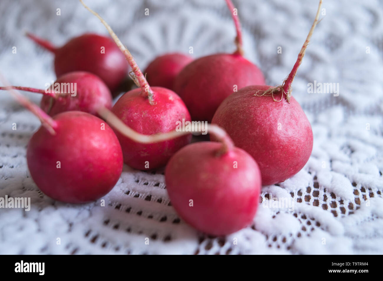 Mehrere reife Radieschen auf einem schönen weißen Tischdecke Stockfoto