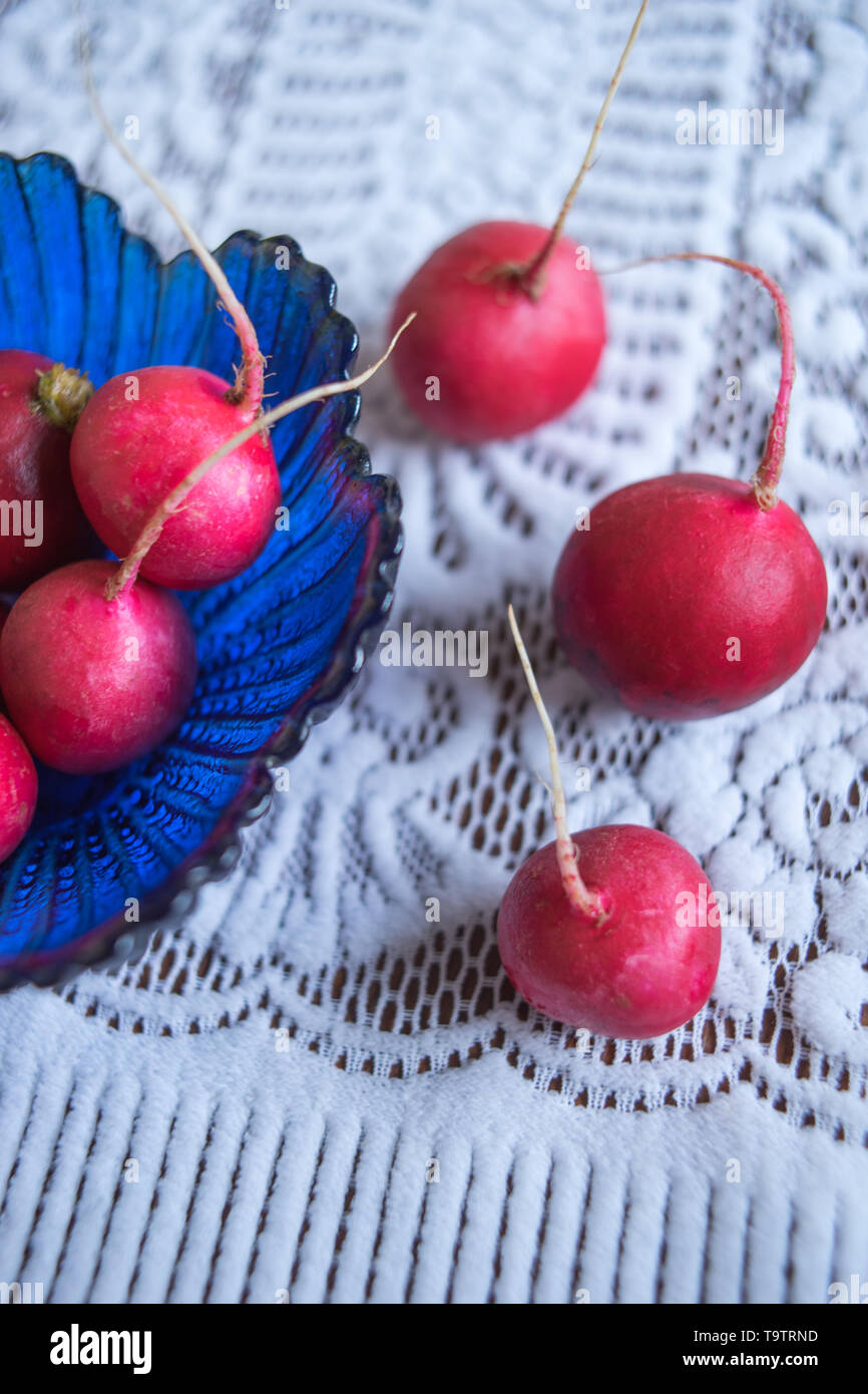 Mehrere reife Radieschen auf einem schönen weißen Tischdecke Stockfoto