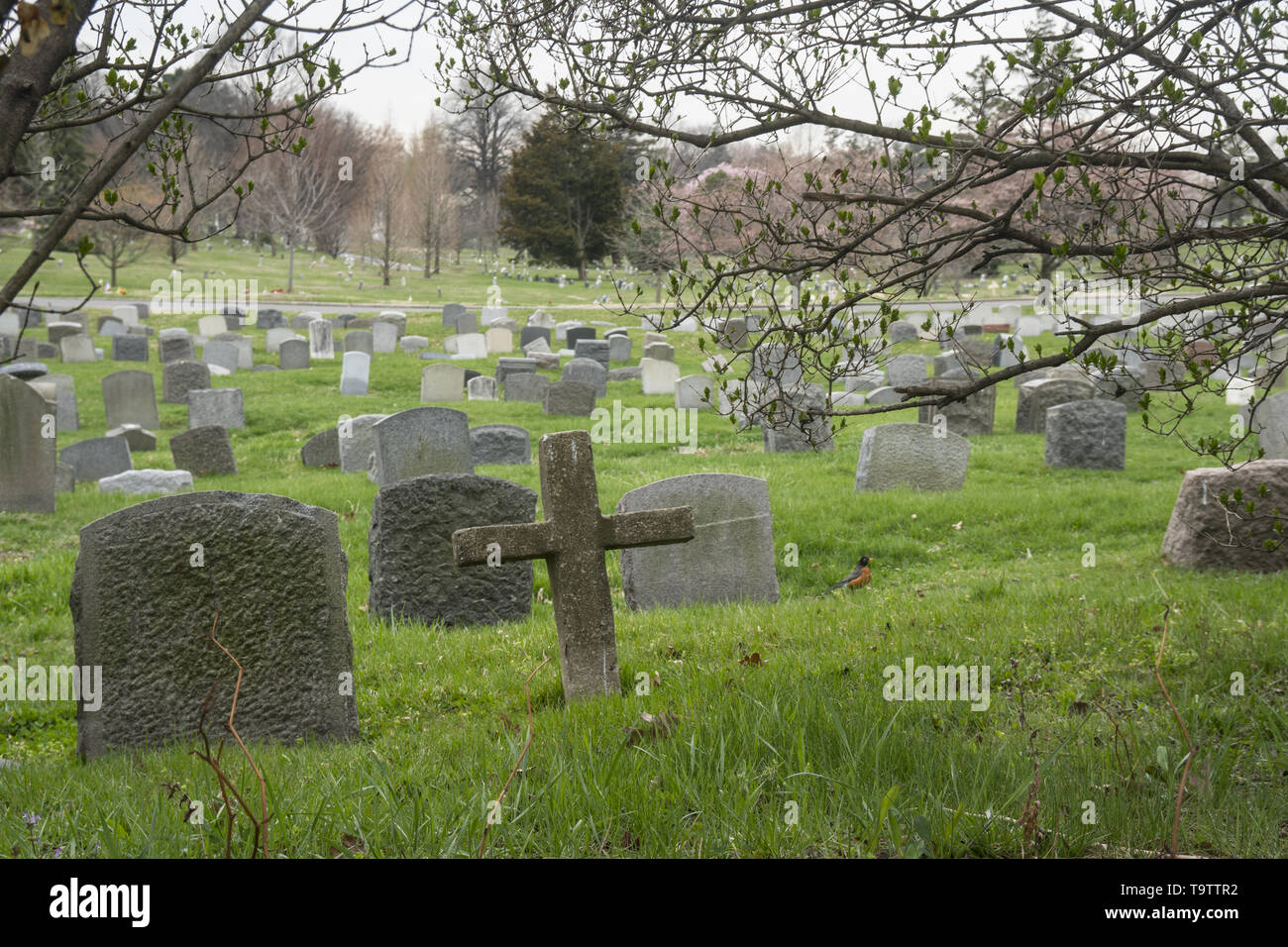 Green-Wood Friedhof ist ein Friedhof in Brooklyn, New York City, 1838 als ländliche Friedhof gegründet. Wie andere frühe ländlichen Friedhöfen, Green-Wood wurde in einer Zeit des raschen Urbanisierung bei der Kirchhöfe in New York City immer überfüllt waren, gegründet. (Mischung aus Alt & neuere Grabsteine) Stockfoto