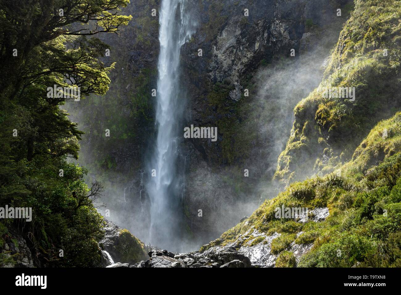 Devil's Punchbowl Wasserfall, Arthur's Pass National Park, Canterburry Region, Südinsel, Neuseeland Stockfoto