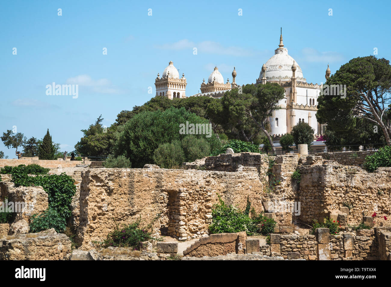 Archäologische Stätte. Blick von der Ruinen der punischen Bezirk auf byrsa Hügel auf der Acropolium auch als Saint Louis Kathedrale in Karthago, Tunesien bekannt. Stockfoto