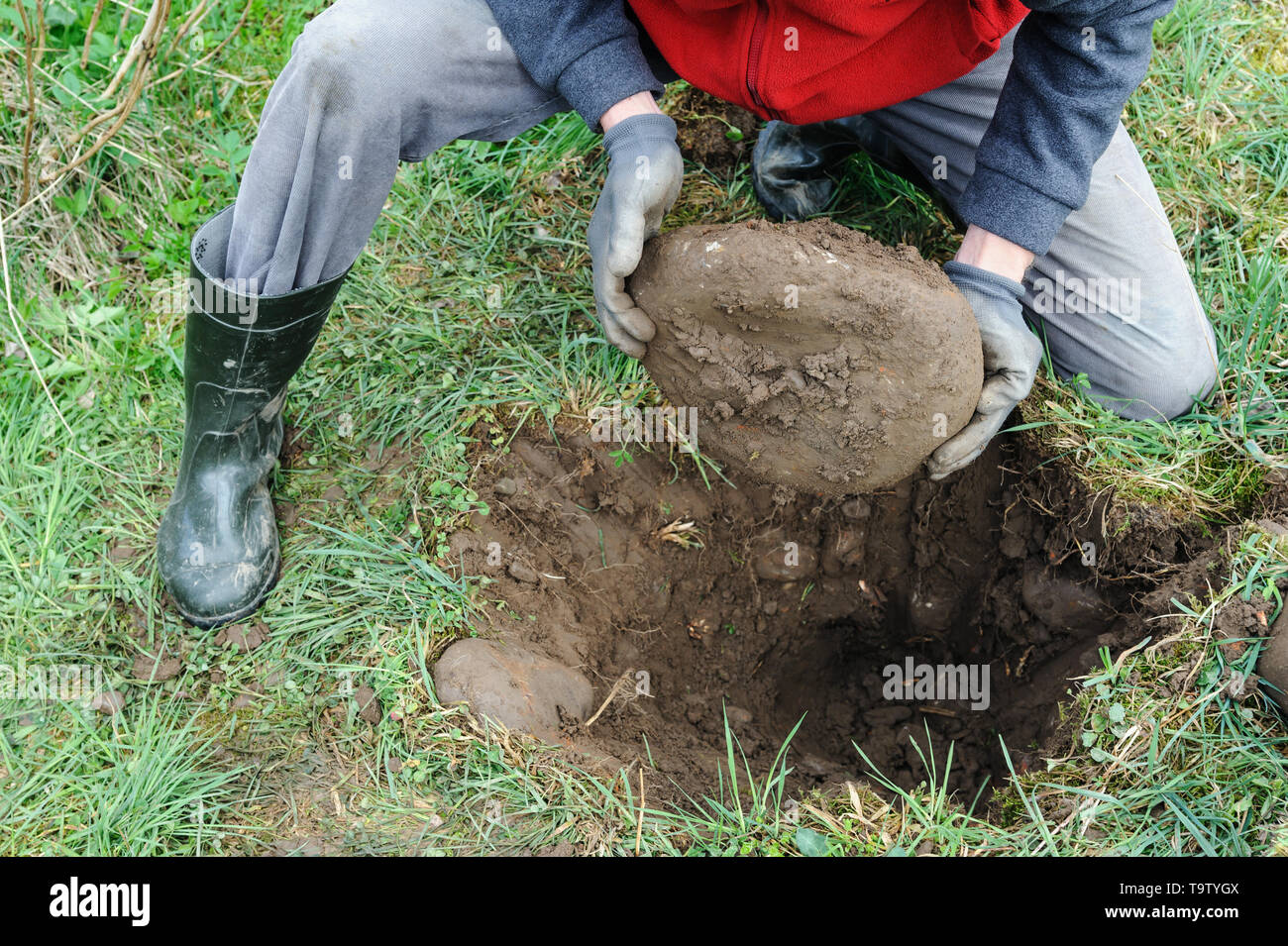 Der Mensch ist eine Grube zu graben, einen Baum zu pflanzen. Er zieht sich Steine. Stockfoto