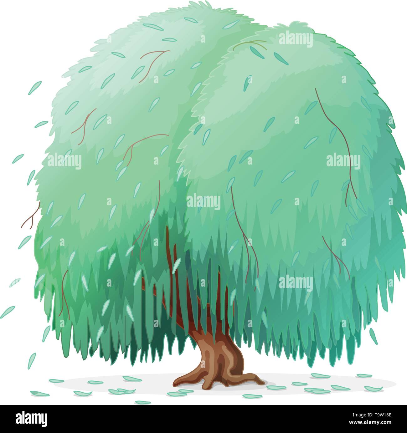 Vektor Cartoon Pflanzen Clipart Weeping Willow Tree Stock Vektorgrafik Alamy