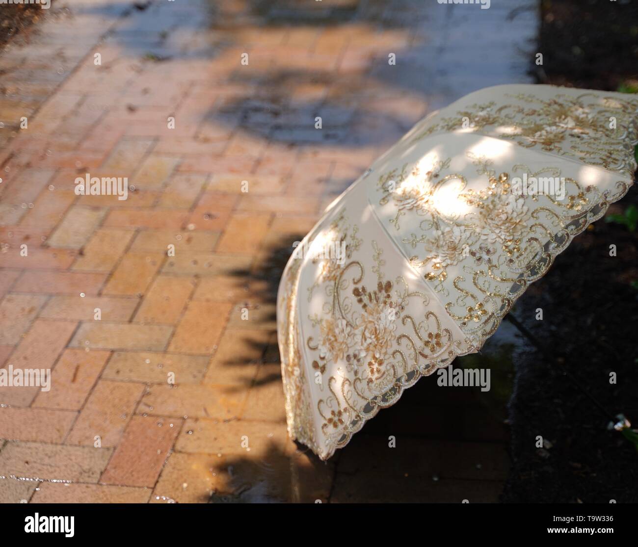 Park Sonnenschirm Stockfoto