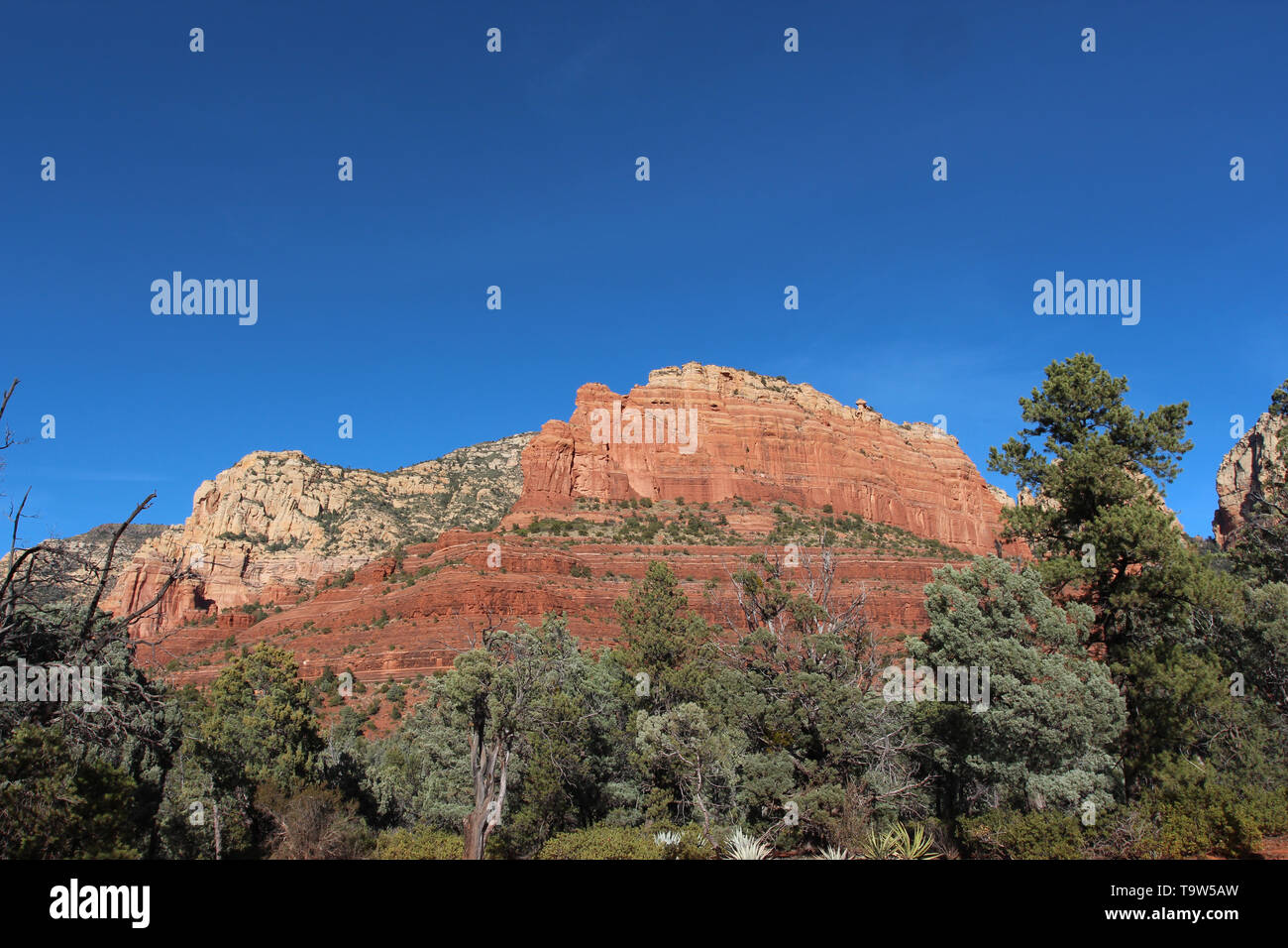 Majestic Kalk- und Sandstein Felsformationen auf der Brins Mesa Trail in Sedona, Arizona, USA Stockfoto