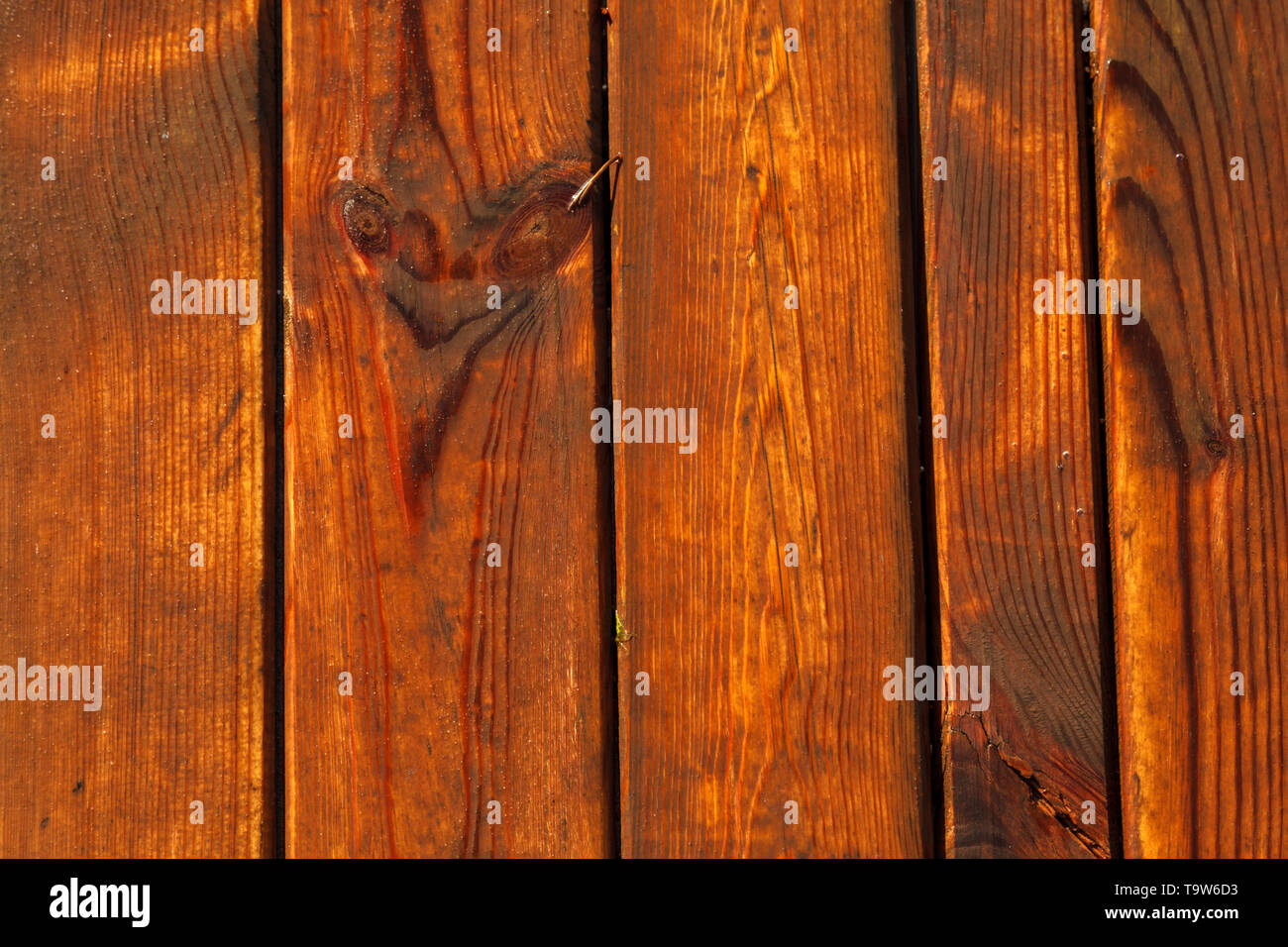 Nasse Holzböden. Nassen Holzplanken Textur. Holz- Strand weg. Holzbrett Hintergrund. Vertikale Richtung. Stockfoto
