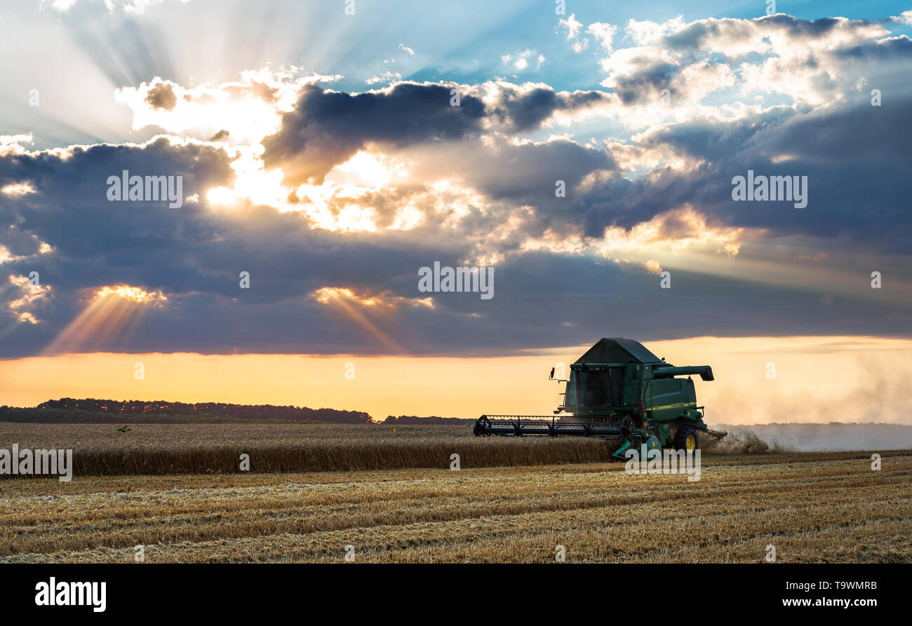 Dobritsch, Bulgarien - Juli 08: Moderne John Deere Mähdrescher Ernten von Getreide auf dem Feld in der Nähe der Stadt Dobrich, Bulgarien Juli 08, 2016 - Bild Stockfoto