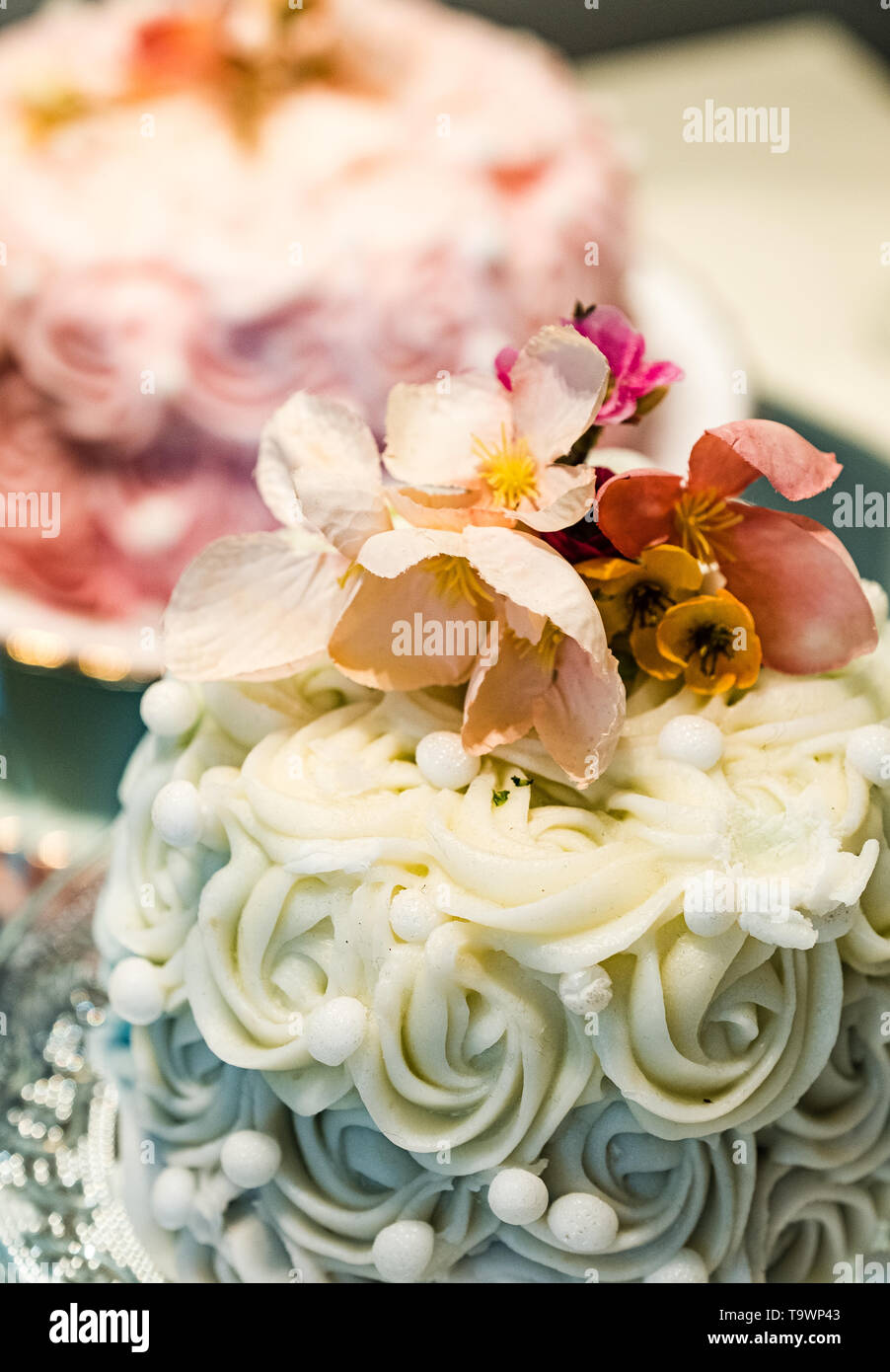 Die kunstvoll geschmückte Feier Kuchen im Woburn Coffee House Stockfoto