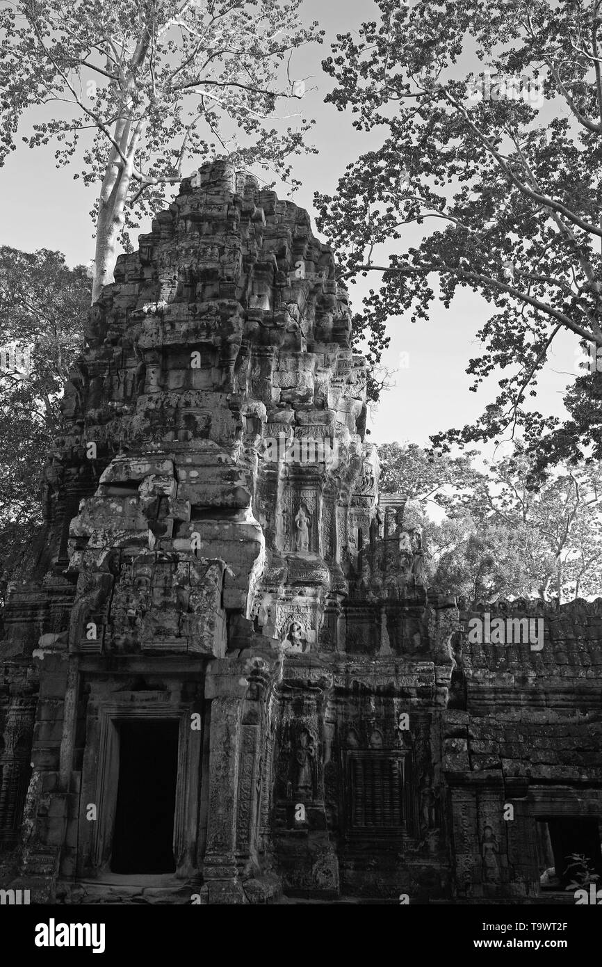 Turm und Tor, dritten Gehäuse, Ta Prohm, Angkor, Siem Reap, Kambodscha. Schwarz und Weiss Stockfoto