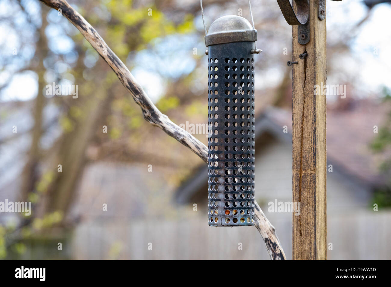 Sonstiges Urban Vogelbeobachtung Hinterhof leer Erdnuss Feeder hängen Stockfoto