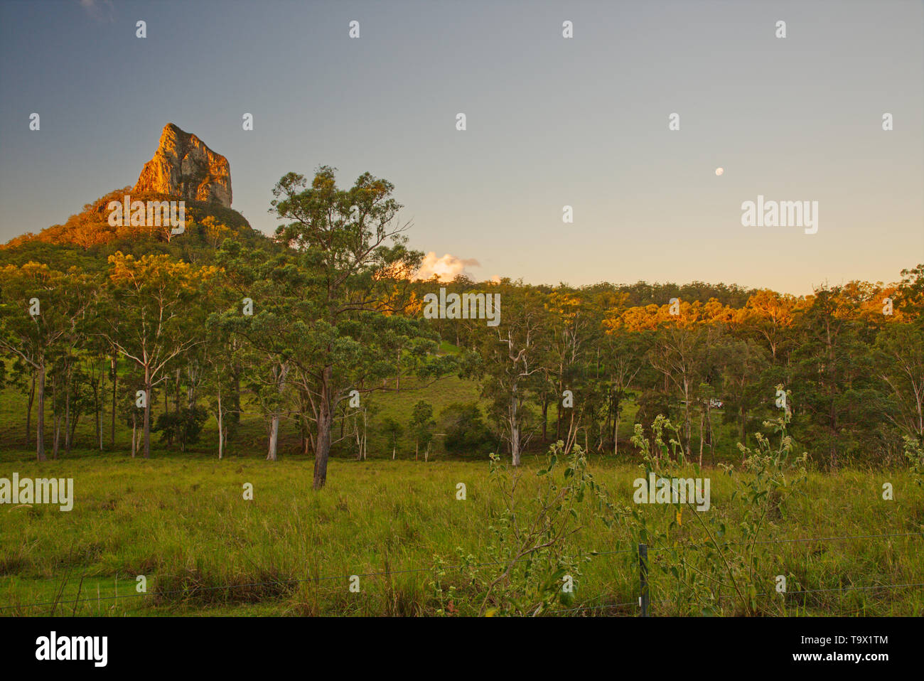 Mount Coonowrin bei Sonnenuntergang, Glasshouse Mountains Stockfoto