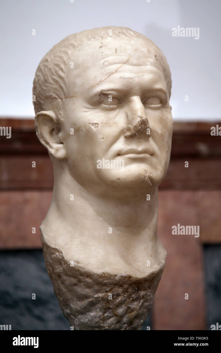 Büste des Kaisers Vespasian (9-79 AD). Marmor. Von Ecija, Andalusien, Spanien. Das archäologische Museum von Sevilla. Andalusien. Spanien. Stockfoto